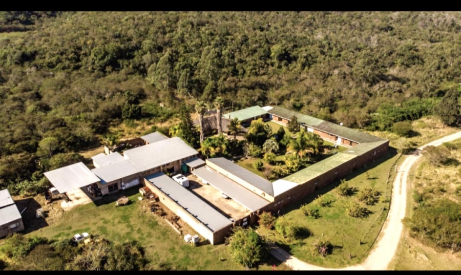 Commercial Property for Sale in Summerpride Eastern Cape